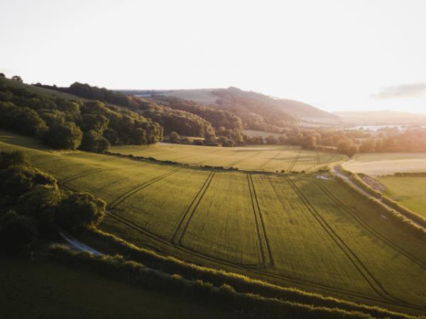 Horse riding and sustainability holiday in the South Downs