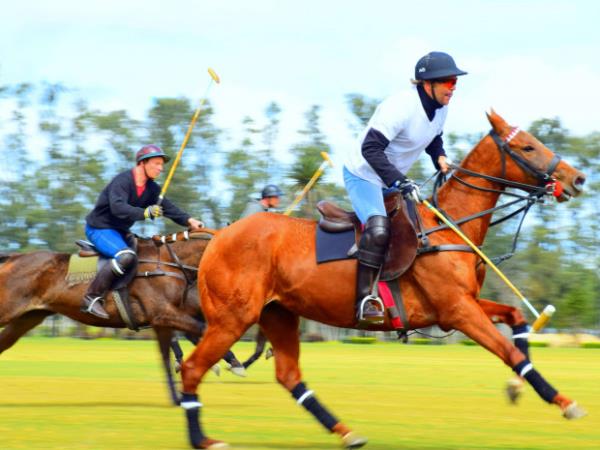 Horse riding and sustainability holiday in the South Downs