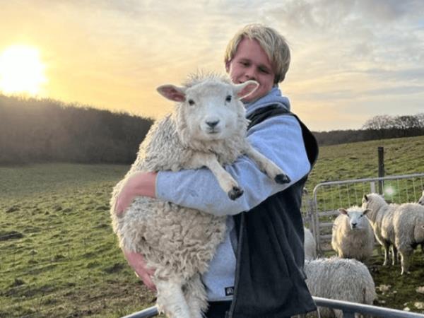 Horse riding and sustainability holiday in the South Downs
