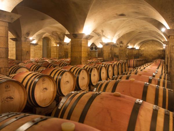Morocco luxury food and wine tour