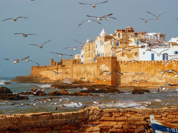 Morocco luxury food and wine tour