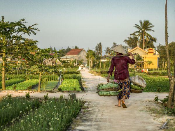 Vietnam volunteer travel and tour