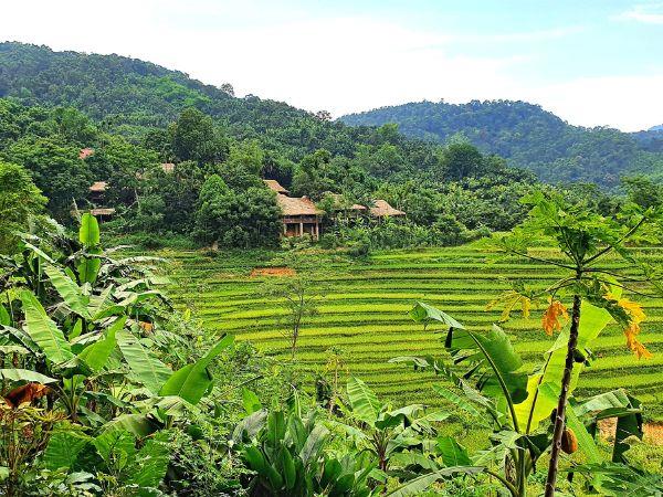 Vietnam countryside tour, green escape