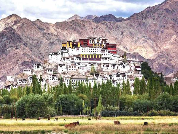 Ladakh mountains trekking adventure