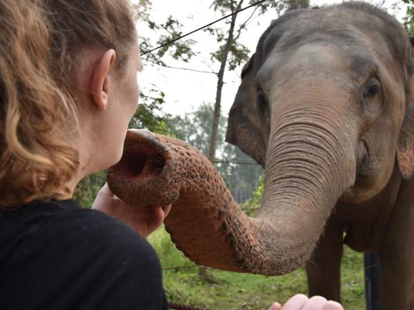 Elephant conservation holiday, Thailand