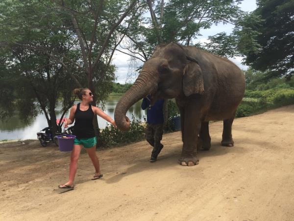 Elephant conservation holiday, Thailand