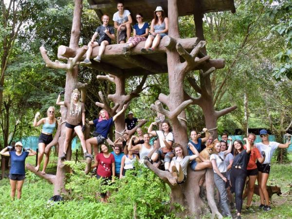 Volunteering in Thailand, wildlife rescue centre