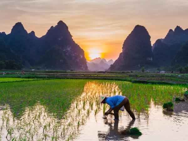 Vietnam and Cambodia authentic tour