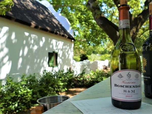 Cape Town homestay holiday, South Africa