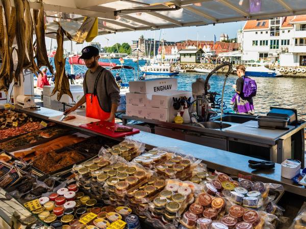 Bergen and Fjord cruise holiday in Norway