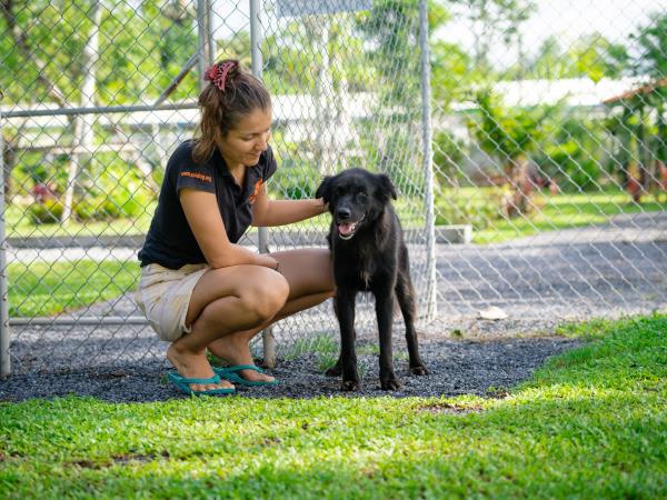 Dog rescue family volunteering, Thailand