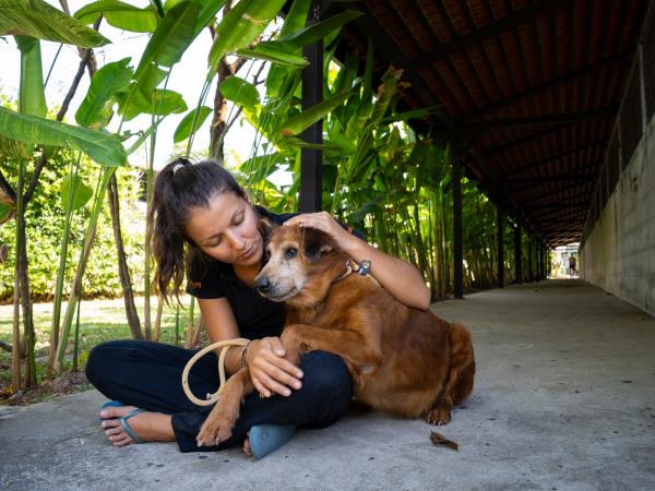 Dog rescue family volunteering, Thailand