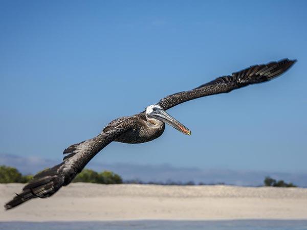 Galapagos Islands small ship cruise holiday