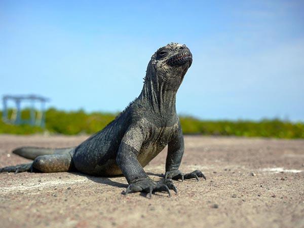 Galapagos Islands small ship cruise holiday