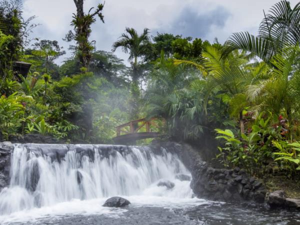 Rare wildlife holiday, Costa Rica