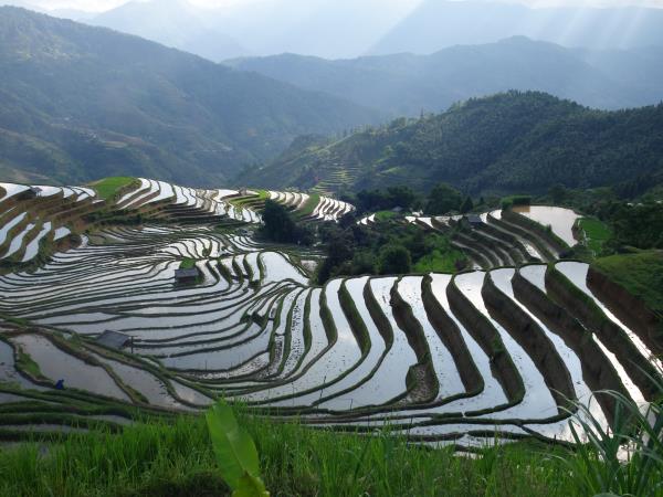 Northern Vietnam walking and culture tour 