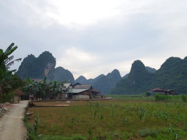 Northern Vietnam walking and culture tour 