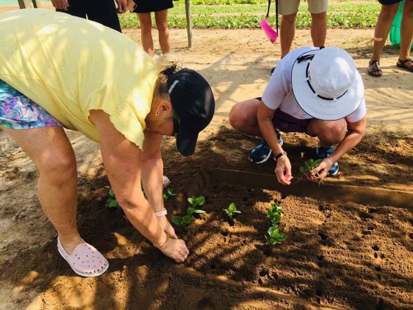 Vietnam community tour with volunteering