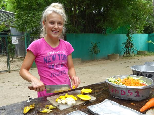Family wildlife rescue holiday, Thailand