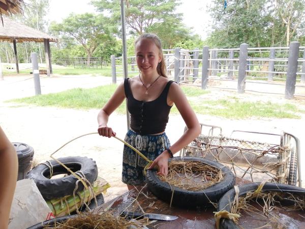 Family wildlife rescue holiday, Thailand