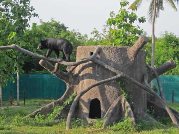 Family wildlife rescue holiday, Thailand