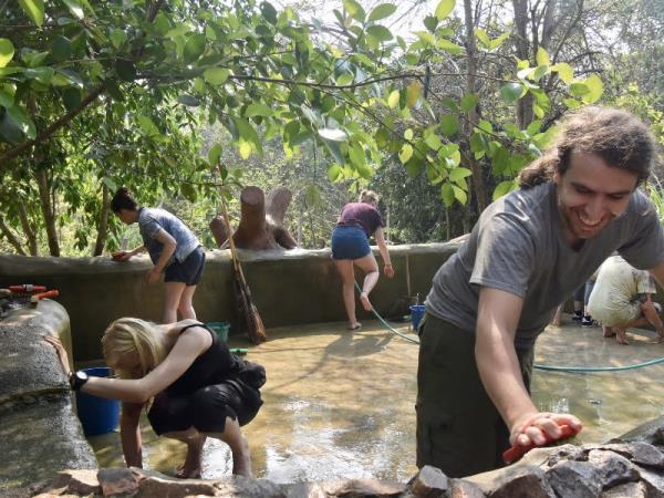 Family wildlife rescue holiday, Thailand