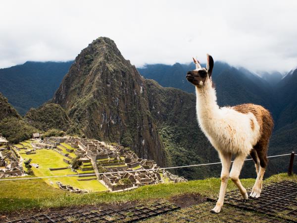 Peru family adventure holiday