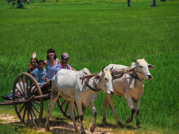 Authentic Cambodia tour, 15 days
