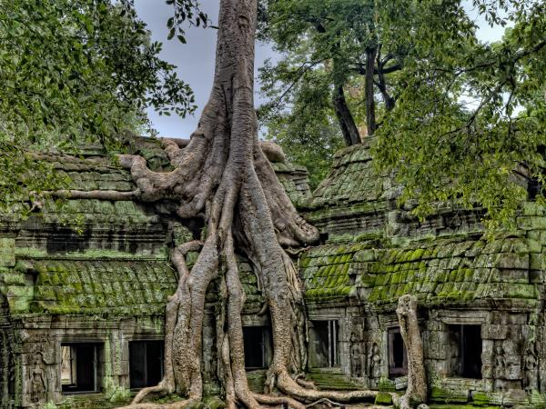 Authentic Cambodia tour, 15 days