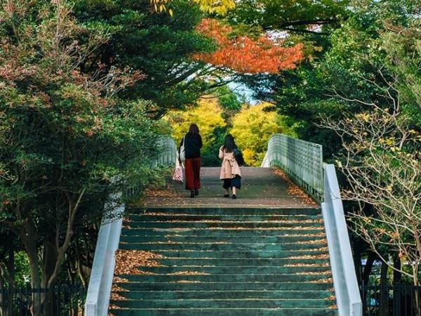 Japan backpacking holiday, 2 weeks