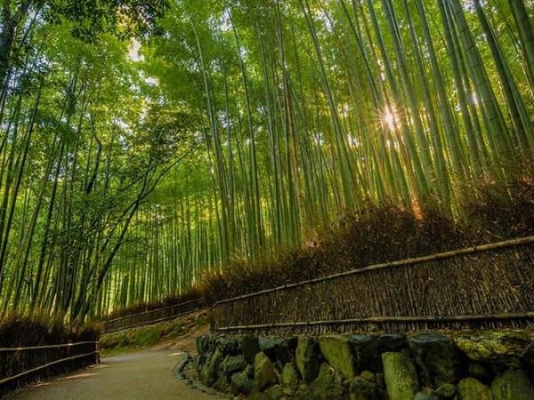 Japan backpacking holiday, 2 weeks