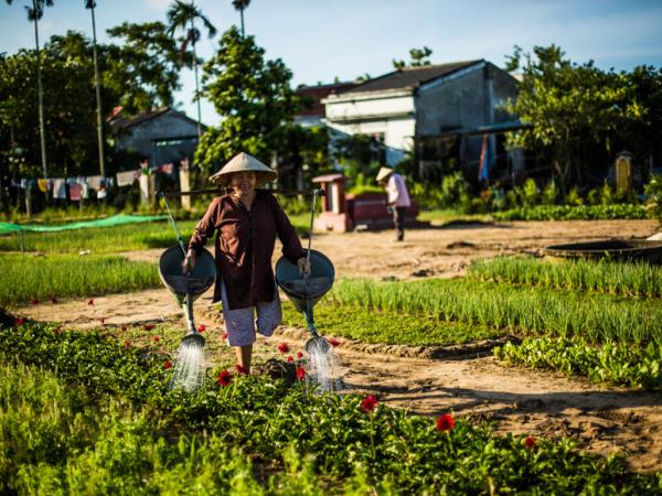 Vietnam responsible tour, nature and culture