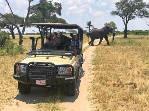 Zambia and Zimbabwe adventure holiday