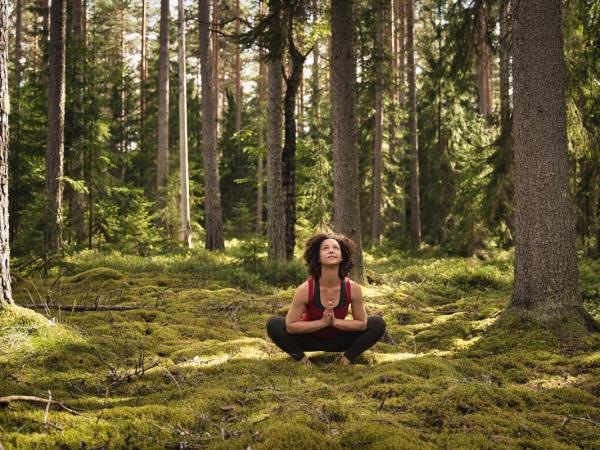 Sweden rewilding and yoga holiday