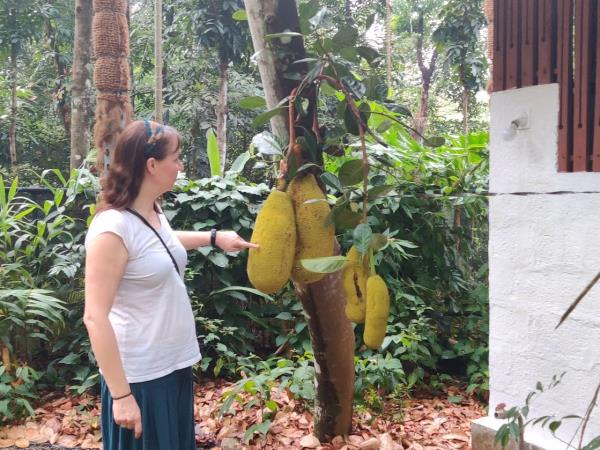 Kerala accommodation, India