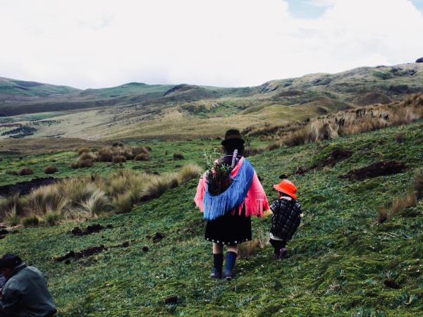 Galapagos and Ecuador bear watching holiday