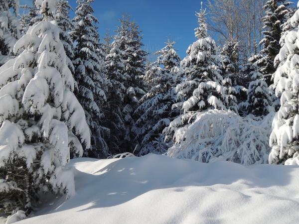 Winter walking holiday in Slovakia