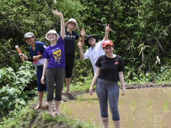 Community volunteering and elephant watching, Thailand