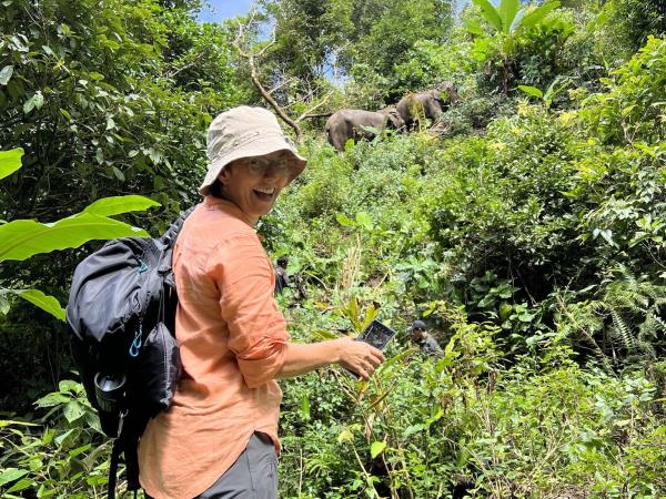 Community volunteering and elephant watching, Thailand