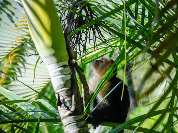 Classic Costa Rica holiday