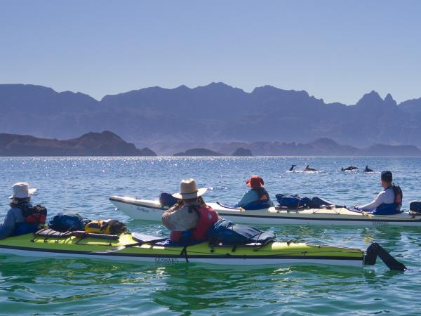 Baja sea kayaking holiday in Mexico