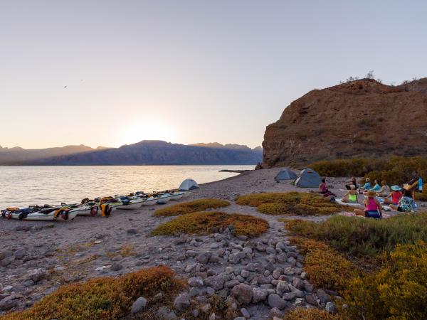 Baja kayaking and whale watching holiday