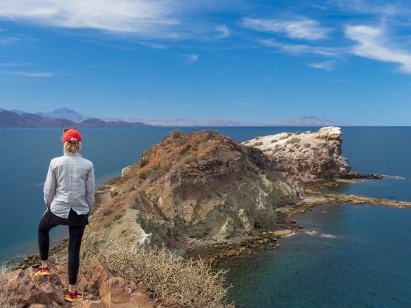 Baja kayaking and whale watching holiday