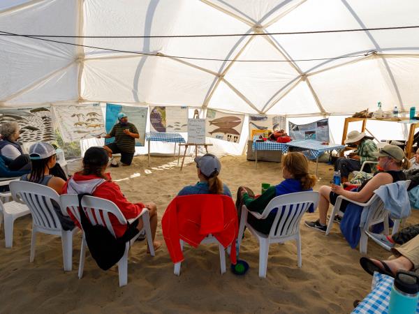 Baja kayaking and whale watching holiday
