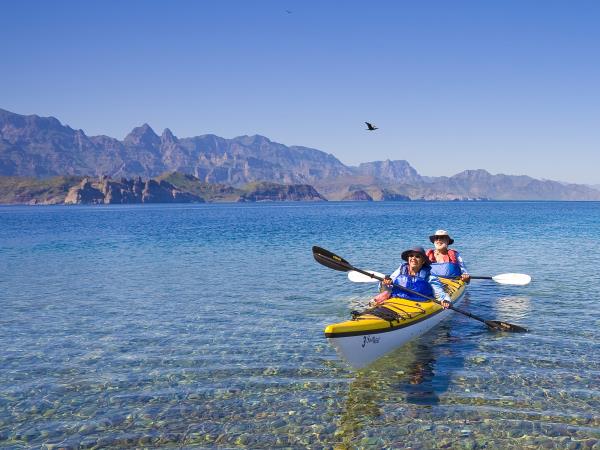 Baja kayaking and whale watching holiday