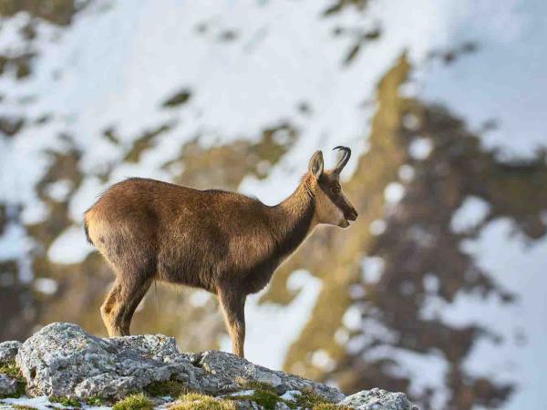 Picos de Europa tailor made holiday 