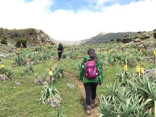 Bale Mountains holiday in Ethiopia