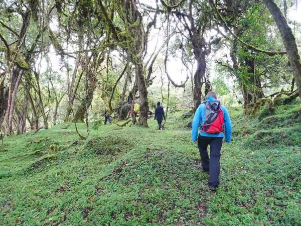 Bale Mountains holiday in Ethiopia