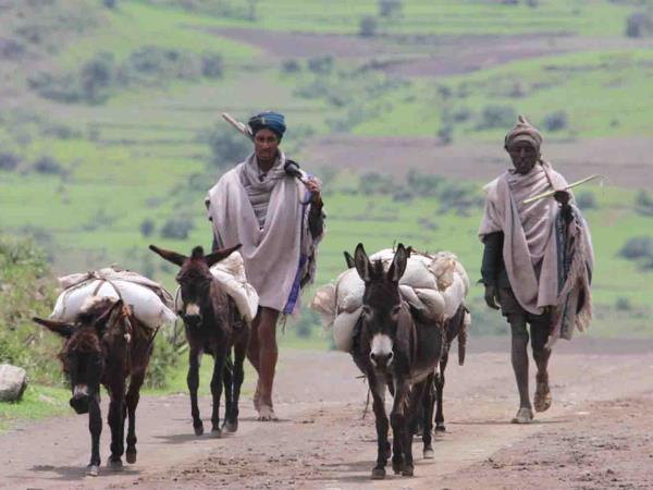 Bale Mountains holiday in Ethiopia