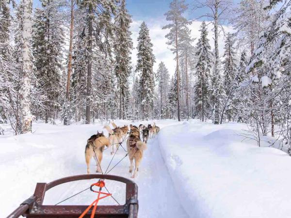 Lapland small group winter holiday